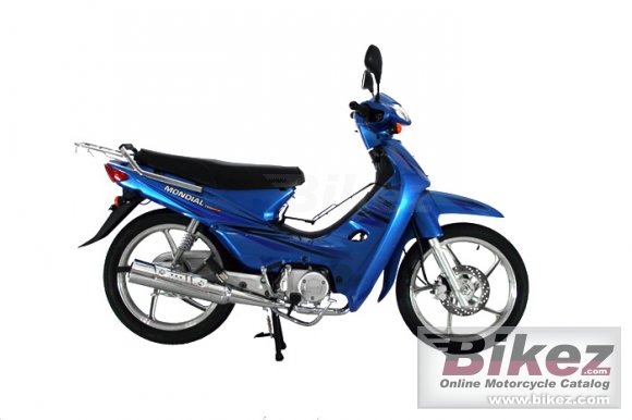 2012 Mondial Cup 100 MFH photo